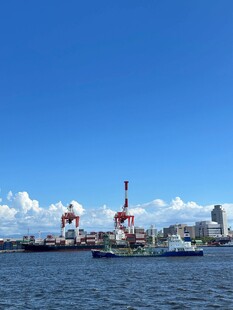 港口码头场景中的起重机