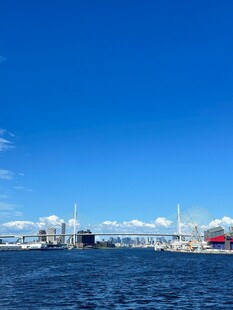 海港风光蓝天碧水城市景
