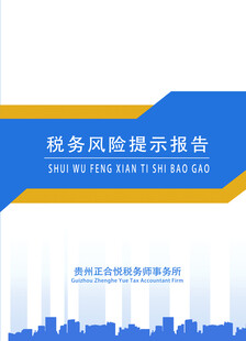 税务风险报告