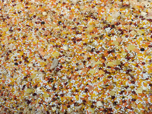 多彩谷物颗粒特写