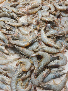 新鲜海虾堆叠展示