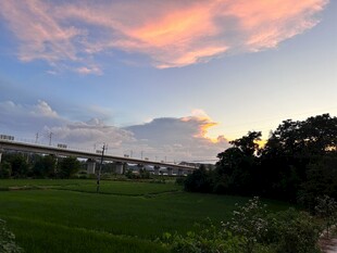 农村 夕阳 晚霞