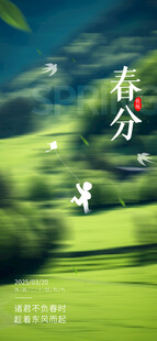 少年风筝清明节春分谷雨春天绿色