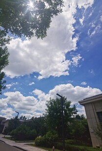 蓝天白云下的惬意景致