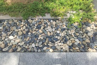 碎石铺就的别致地面景观