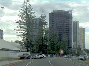 城市街道旁的高楼与绿树