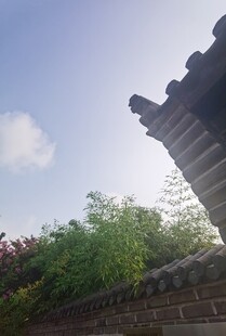 古建筑一角绿植相伴