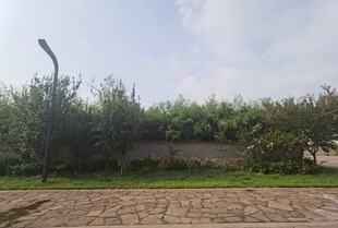 户外绿植与砖石地面景观