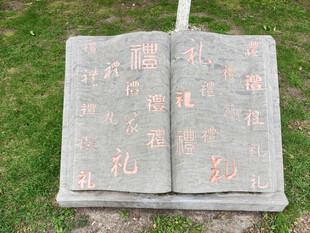 草地上翻开的古老书籍