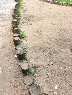 木墩铺成的小径