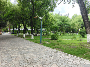 公园中的石板小径