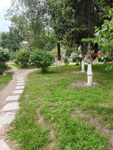 宁静花园中的石板小径