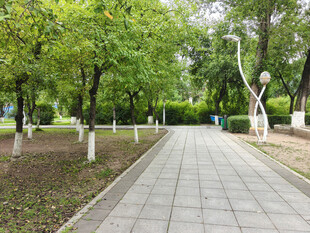 公园中的宁静步道