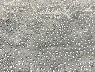 水滴洒落的地面纹理