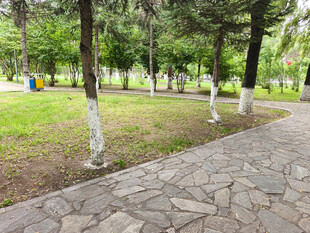 公园石板小径与绿树