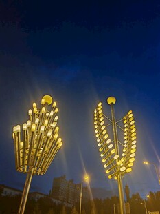 璀璨灯光造型夜景