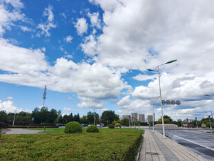 蓝天白云下的城市绿地景观