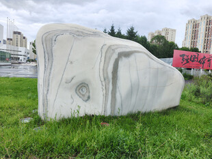 草地上的独特造型石雕