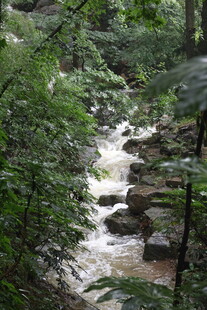 山林间潺潺溪流
