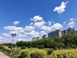 蓝天白云下的城市绿地景观