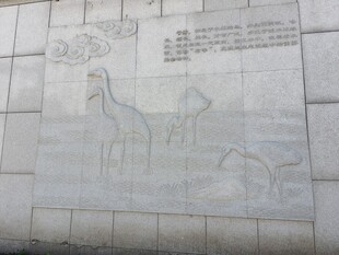 墙上仙鹤动物图案绘画