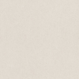 米白色纹理背景