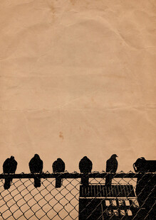 围栏上的一排鸟儿