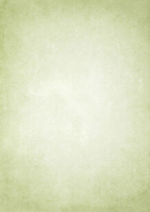 淡绿色复古纹理背景图