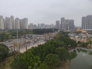 城市中的绿化与建筑景观