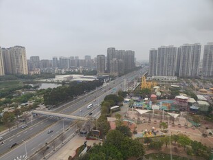 城市交通与高楼景观图