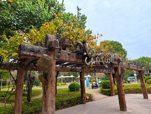 户外木质藤蔓凉亭景观