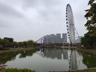 湖畔摩天轮与城市风光