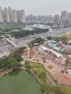 城市景观中的公园与建筑