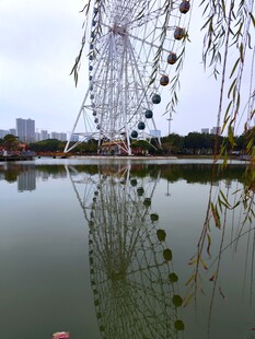 湖畔垂柳与摩天轮倒影