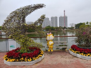 月牙形绿植景观 造型精美