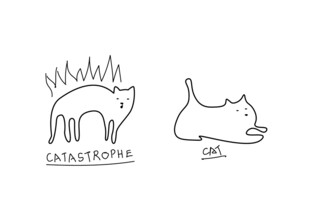 猫咪的两种情绪状态