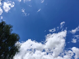 蓝天绿树间的白云美景