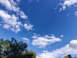 蓝天白云下的绿树景观