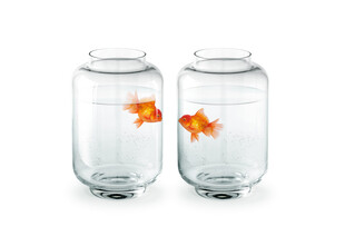 双玻璃罐中的金鱼