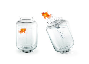 金鱼跃出玻璃瓶瞬间