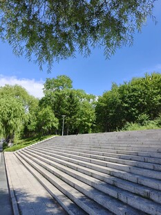 户外阶梯旁的葱郁绿树