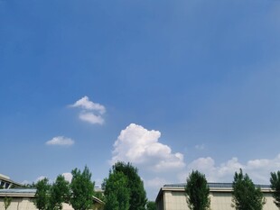 蓝天白云下的绿树与建筑