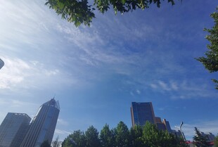 城市蓝天绿树高楼景致