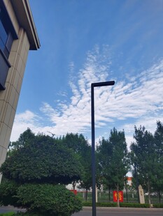 户外街景中的路灯与绿树