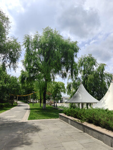 公园中的绿树与特色建筑