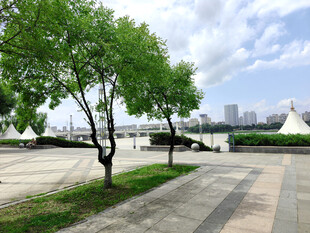 城市河畔绿树成荫的步道