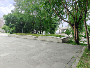 宁静林荫下的空旷道路