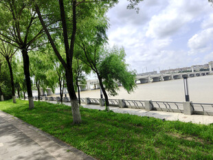 河畔绿荫小道风景