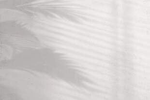 光影下的棕榈叶纹理