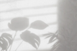 窗下植物的朦胧光影